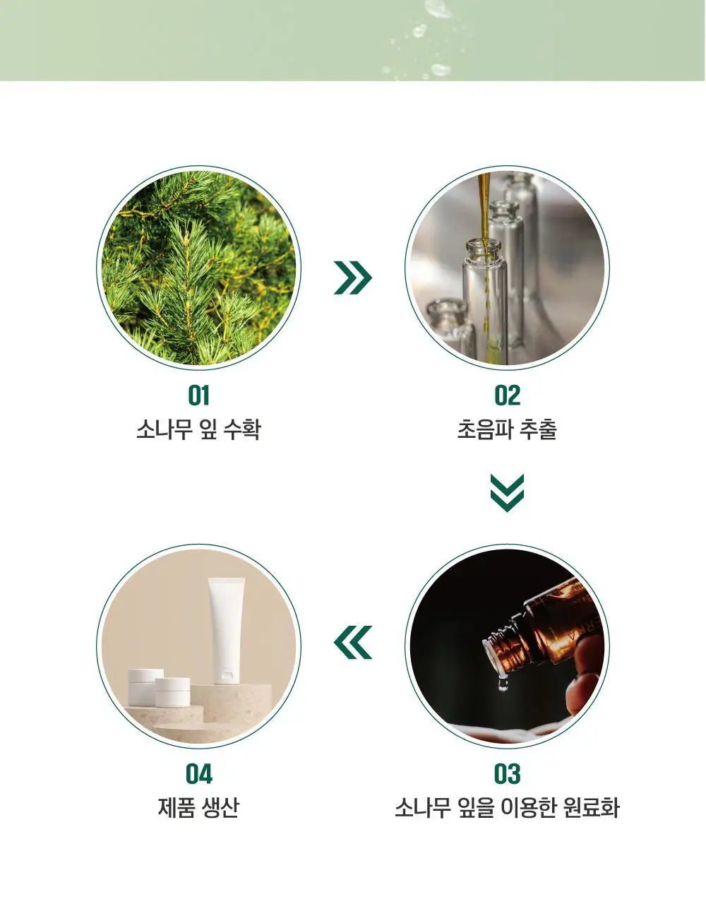 [매끈바디] 라운드랩 소나무 진정 시카 바디 워시 400ml 상세페이지 8
